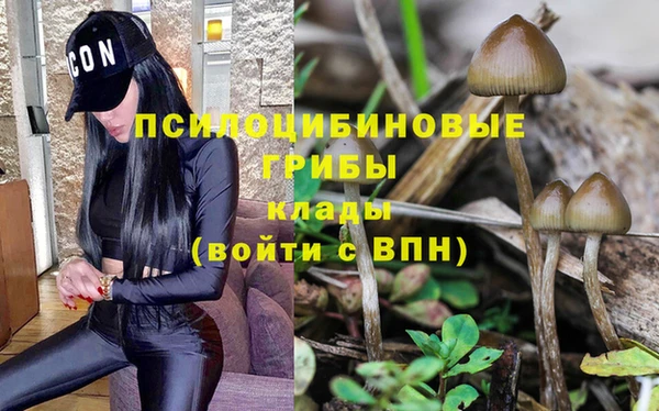 первитин Покровск