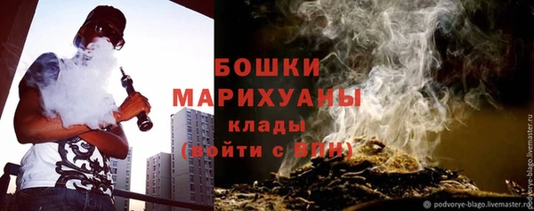 шишки Покачи