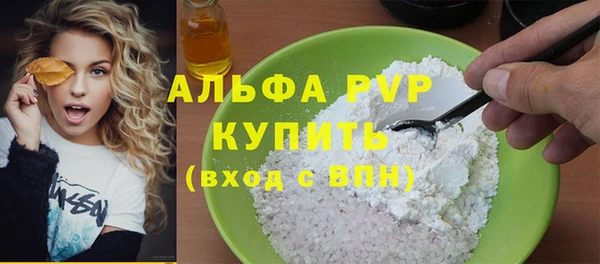 шишки Покачи