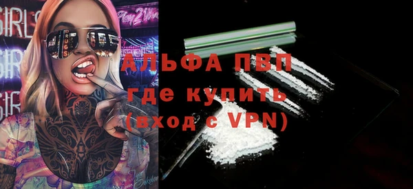 шишки Покачи